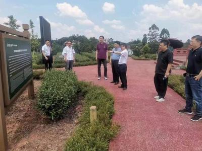 四川省科技與藝術(shù)融合發(fā)展促進會三茶統(tǒng)籌譜新篇 赴省茶業(yè)集團構(gòu)畫文化科技賦能新圖景